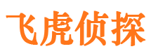 安平市侦探公司